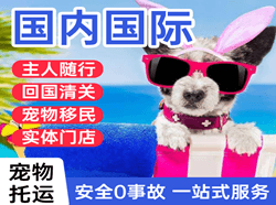 鞍山航空货运国际宠物托运 【国